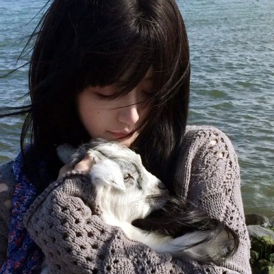 七合圣石战记