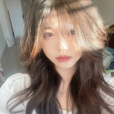 野良猫洛克:女番长